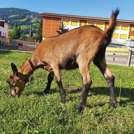 Hof Obertann Kirchberg en Tyrol