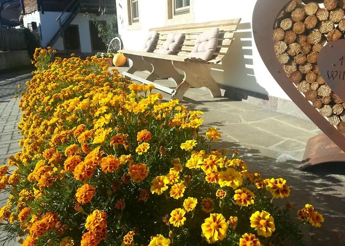 Hof Obertann Kirchberg in Tirol